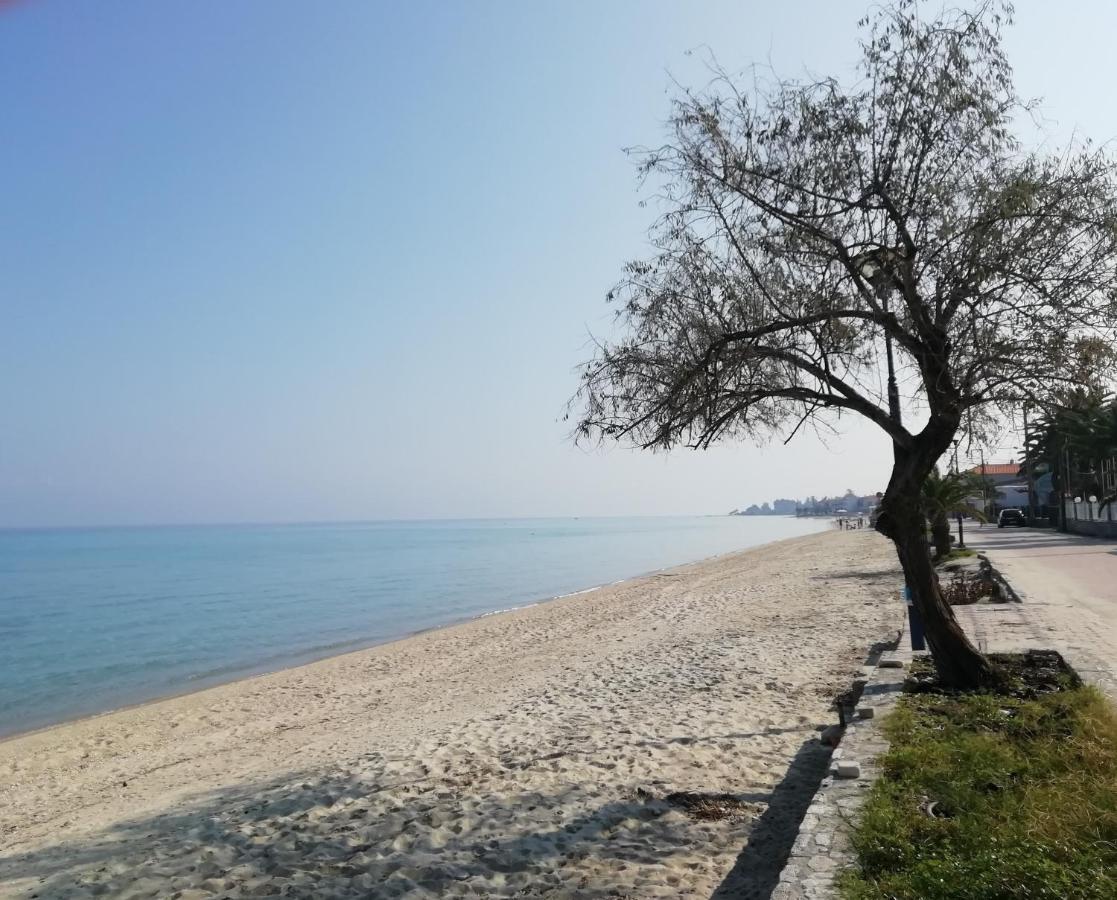 Seaside View Villa Chaniotis Exterior foto